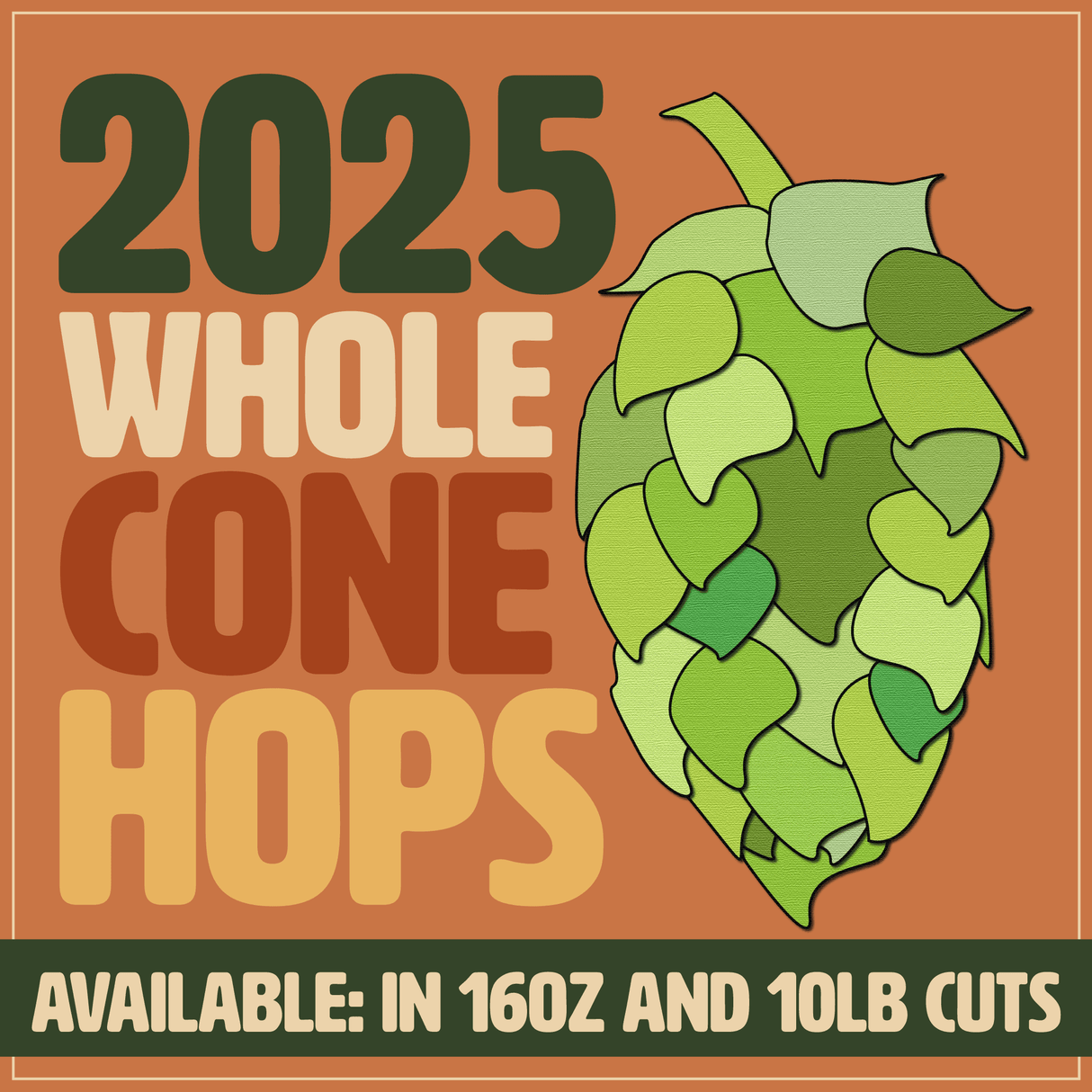 2025 Whole Cone Hops - Available in 16oz and 10lb cuts