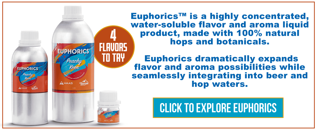 EXPLORE EUPHORICS HERE