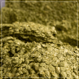 Whole Cone Hops Close Up